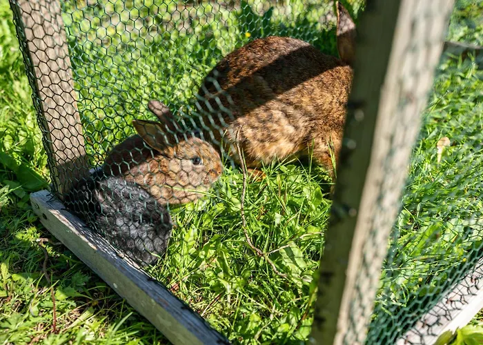 Gaestehaus Gross Lejlighed Neustadt an der Weinstraße